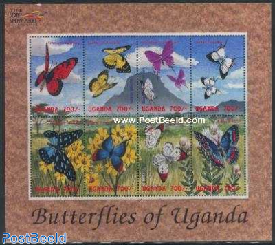 Butterflies 8v m/s (8x700)