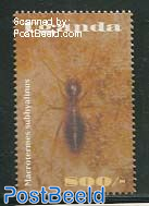 Insects 1v, termite