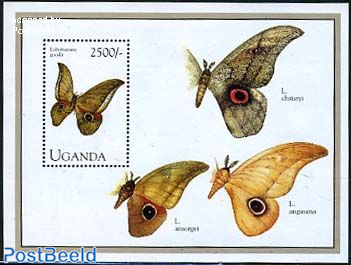 Butterfly s/s, Lobobunaea Goodii