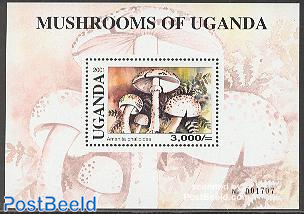 Mushrooms s/s, Amanita phaloides