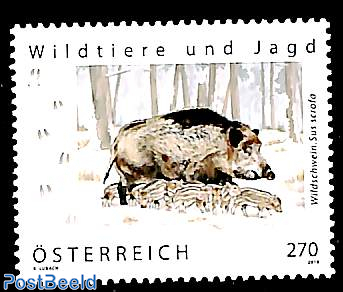 Wild boar 1v