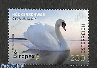 Birdpex, swan 1v