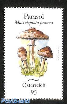 Parasol mushroom 1v