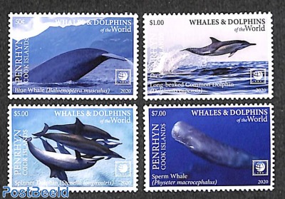 Whales & dolphins 4v