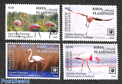Flamingos 4v