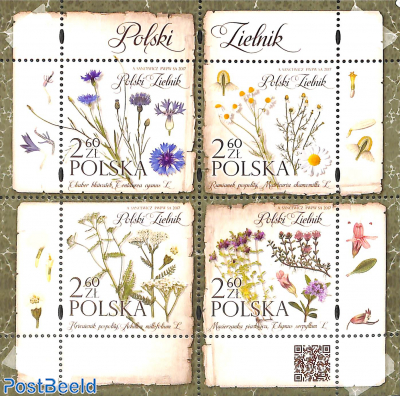 Polish Herbarium 4v m/s