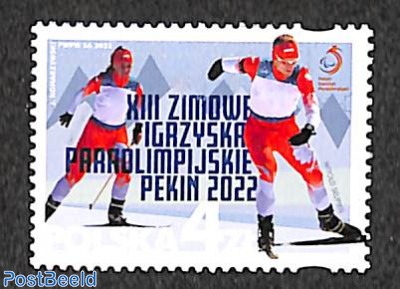 Paralympic winter games 1v