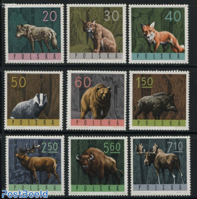 Forest animals 9v