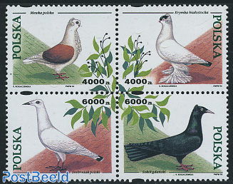 Pigeons 4v [+]