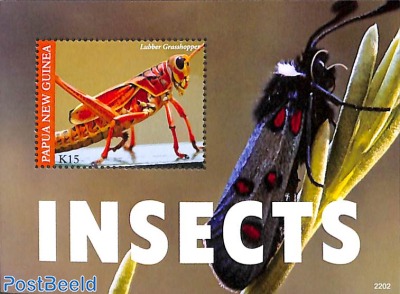 Insects s/s