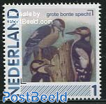 Birds 1v, Great Spotted Woodpecker