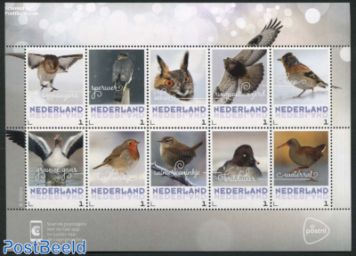 Stamps From Netherlands Personal Stamps Tnt Pnl