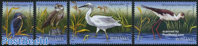 Birds in Danube delta 4v