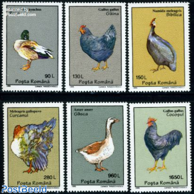 Poultry, ducks 6v