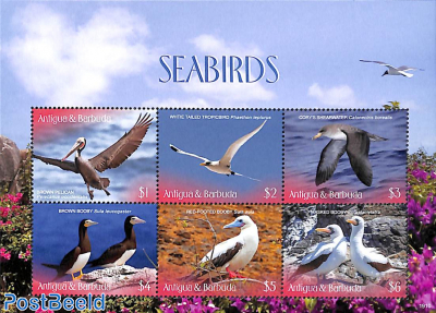 Seabirds 6v m/s