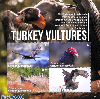 Turkey Vultures 4v m/s