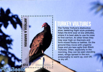 Turkey Vultures s/s