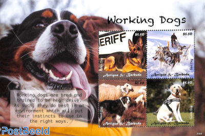 Working dogs 4v m/s