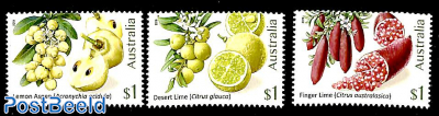 Bush citrus 3v