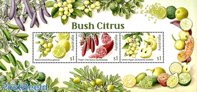 Bush Citrus 3v m/s