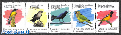 Bonaire, birds 4v