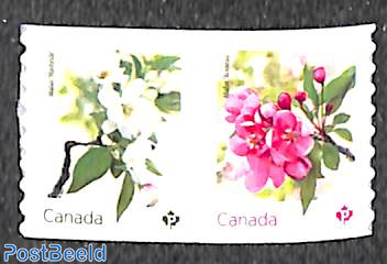 Crabapple blossoms 2v s-a coil