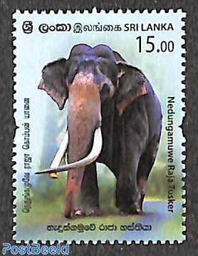 Elephant Nedungamuwe Raja Tusker 1v