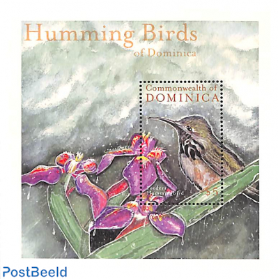 Feeders Hummingbird s/s