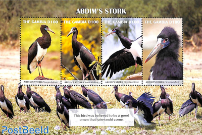 Abdim's Stork 4v m/s