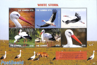 White Stork 6v m/s