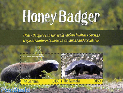 Honey Badger 2v m/s