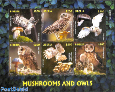 Mushrooms and owls 6v m/s