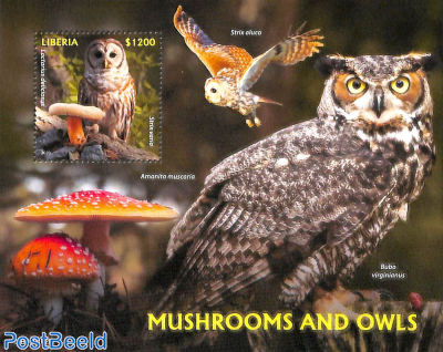 Mushrooms and owls s/s