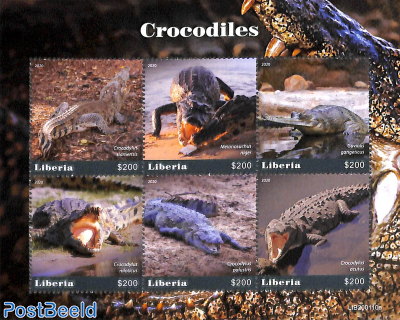 Crocodiles 6v m/s