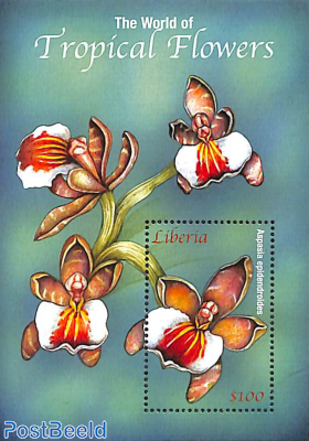 Orchids s/s, Aspasia epidendroides