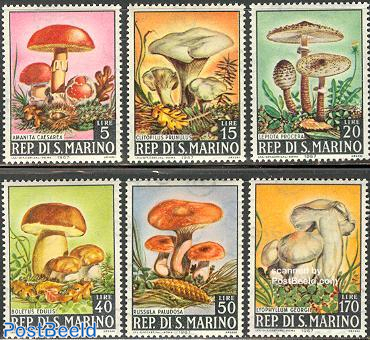 Mushrooms 6v