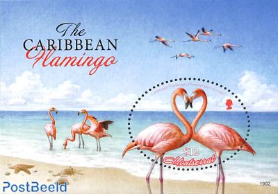 Caribbean flamingo s/s