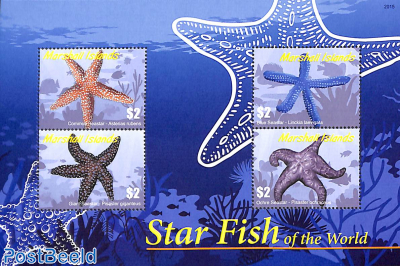 Star Fish 4v m/s