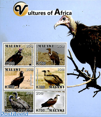 Vultures of Africa 6v m/s
