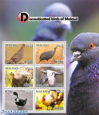 Domesticated birds of Malawi 6v m/s