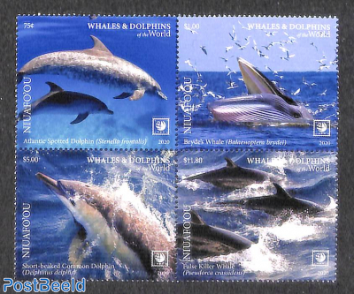 Dolphins 4v [+] (coloured borders)