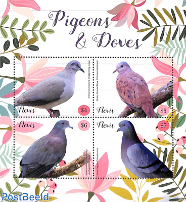 Pigeons & Doves 4v m/s