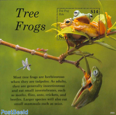 Tree frog s/s