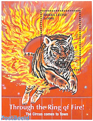 Circus, tiger through ring of fire s/s