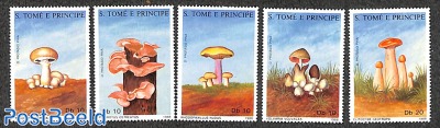 Mushrooms 5v 