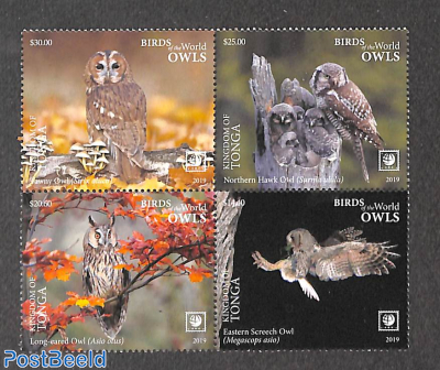 Owls 4v [+]