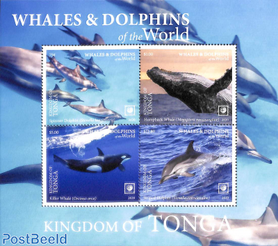 Whales and dolphins 4v m/s (white borders)