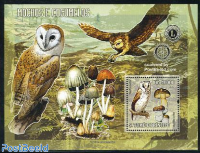 Owls & mushrooms s/s