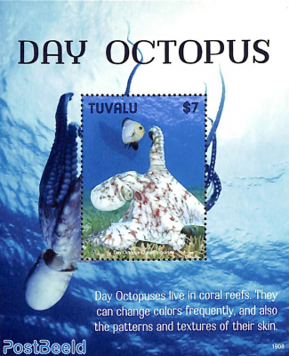 Day Octopus s/s
