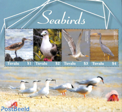 Seabirds 4v m/s